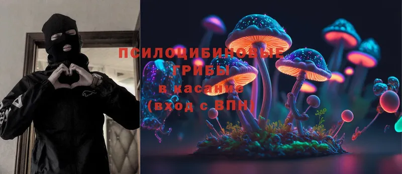 Галлюциногенные грибы MAGIC MUSHROOMS  Кинель 